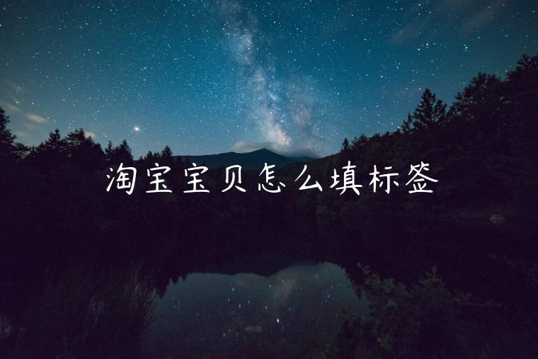 淘寶寶貝怎么填標(biāo)簽